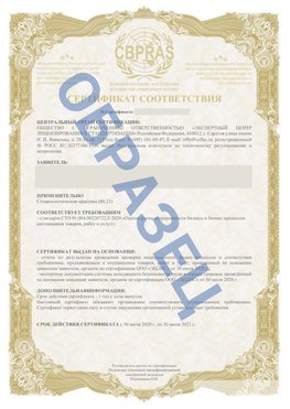 Образец Сертификат СТО 01.064.00220722.2-2020 Лысьва Сертификат СТО 01.064.00220722.2-2020 